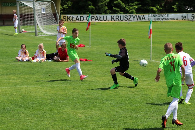 定军心的 定军心的