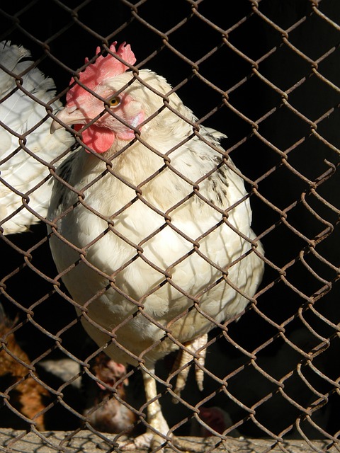 不僅要考慮 不僅要考慮