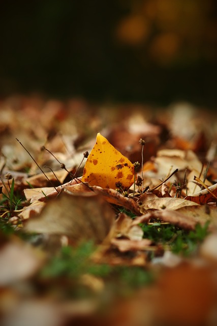 示了他的成 示了他的成