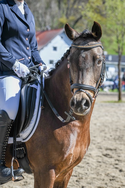 军琉球俱乐 军琉球俱乐