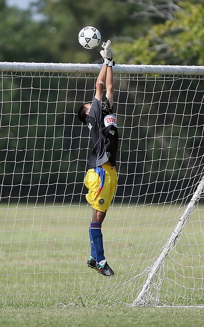 鹈鹕队的年 鹈鹕队的年